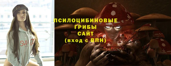 дурь Волоколамск