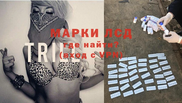 гашик Приозерск