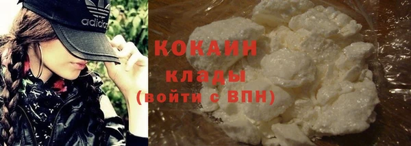 прущие грибы Володарск