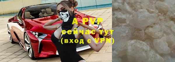 прущие грибы Володарск